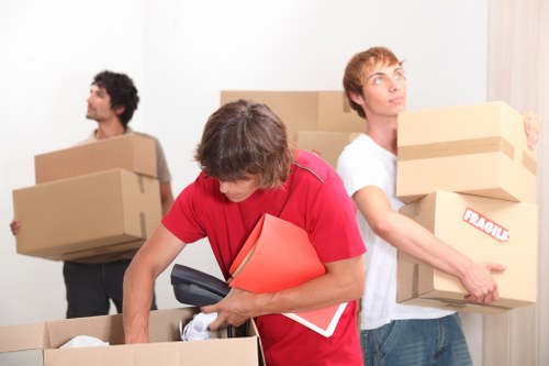Office relocation packing services in Whitecity with labeled boxes